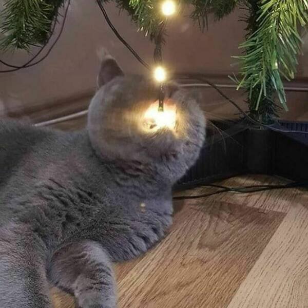 Funny Finds And Situations (47 pics)