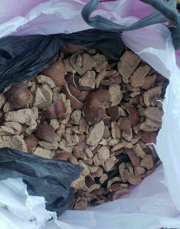 Interesting Finds (35 pics)