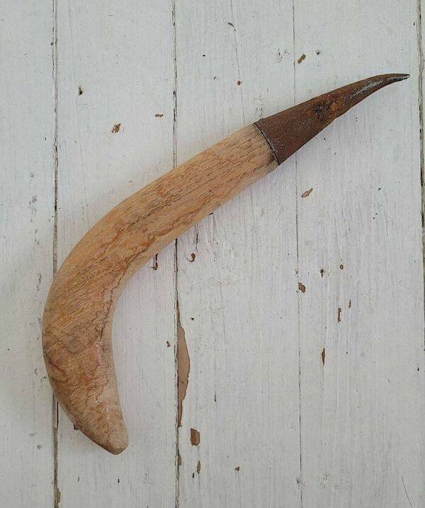 Interesting Finds (35 pics)