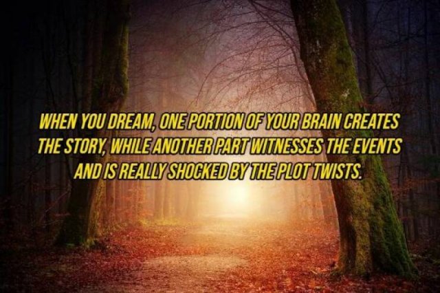 Interesting Facts (16 pics)