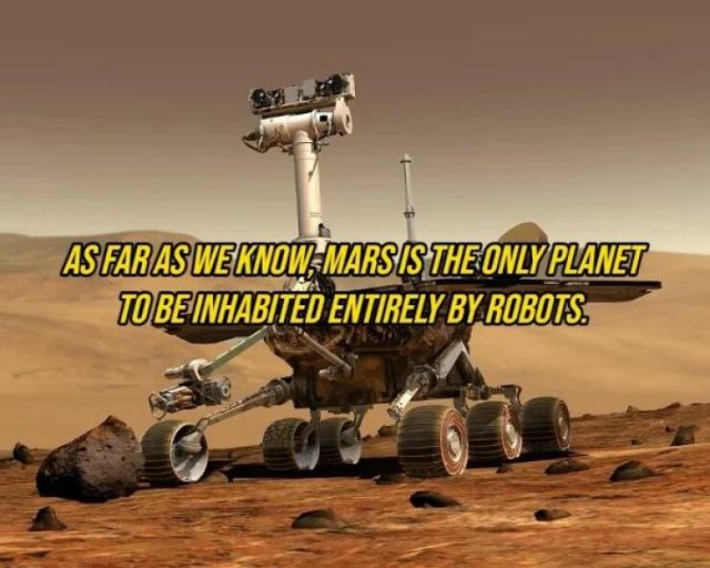 Interesting Facts (16 pics)