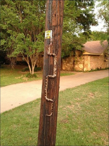 Creepy Finds (36 pics)