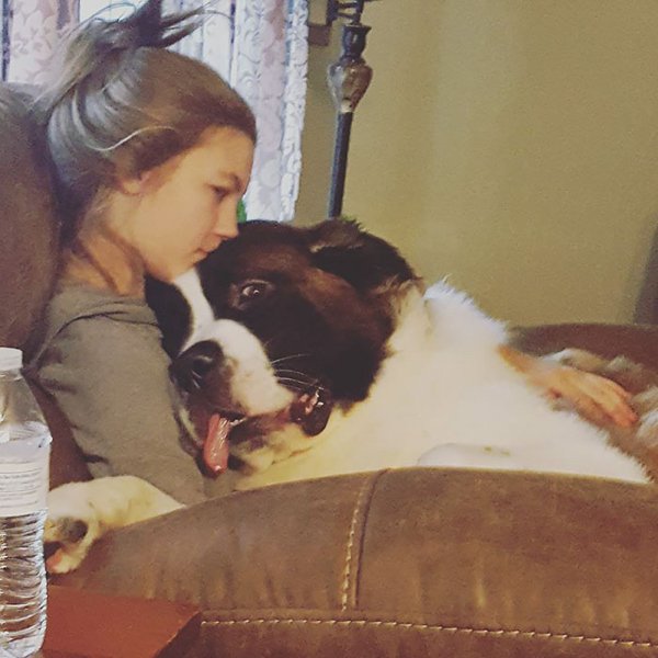 Huge Dogs (30 pics)