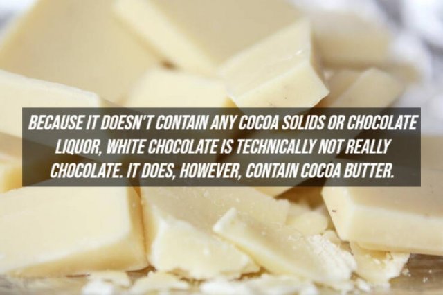 Interesting Facts About Chocolate (15 pics)