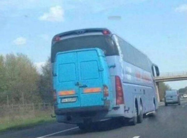 What Is Going On? (47 pics)