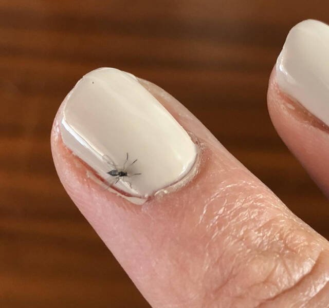 Bad Days Happen (29 pics) Bad Days Happen (29 pics)