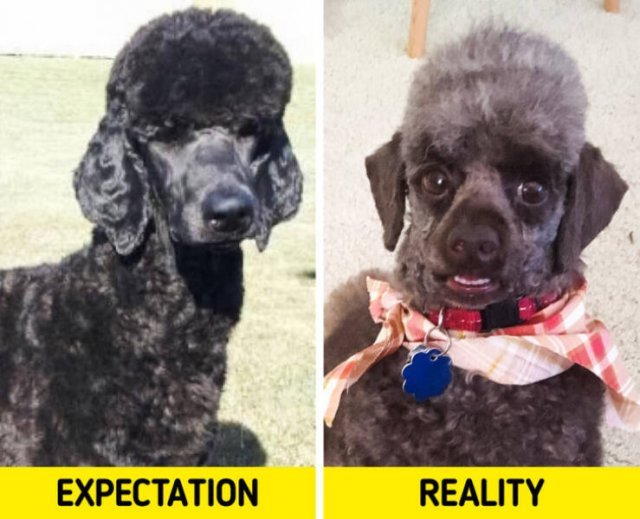 Bad Days Happen (29 pics) Bad Days Happen (29 pics)
