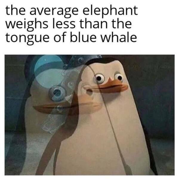 Funny Memes (19 pics)