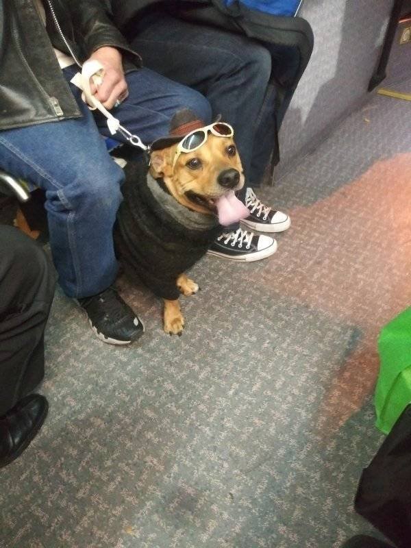 Strange People In The Subway (31 pics)
