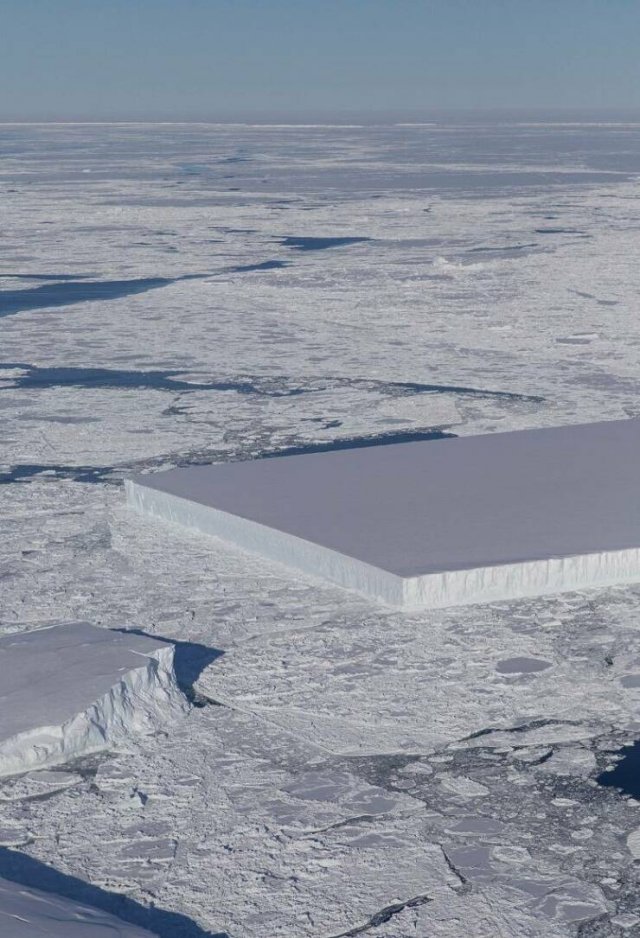 Photos For Perfectionists (44 pics)