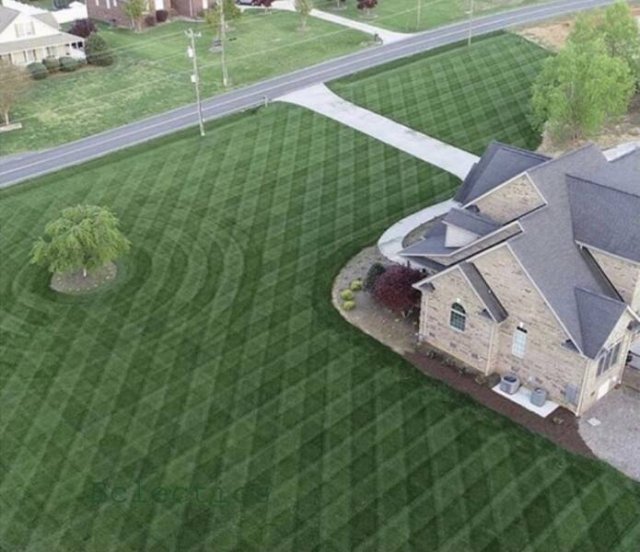 Photos For Perfectionists (44 pics)