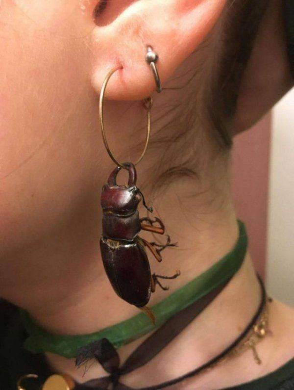 Terrible Fashion (36 pics)