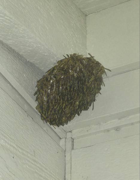What Is Going On Here? (35 pics)