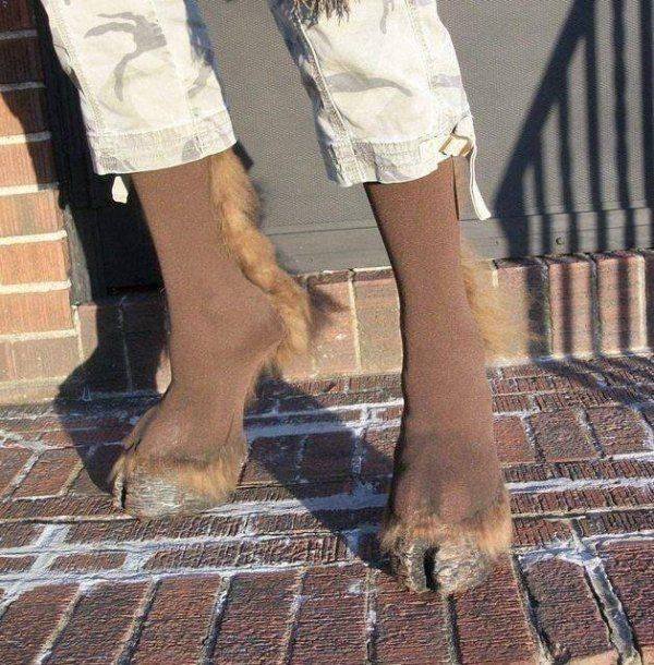 Terrible Fashion (36 pics)