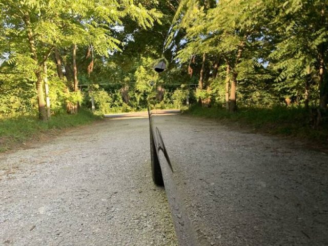 Accidental Camouflage (38 pics)