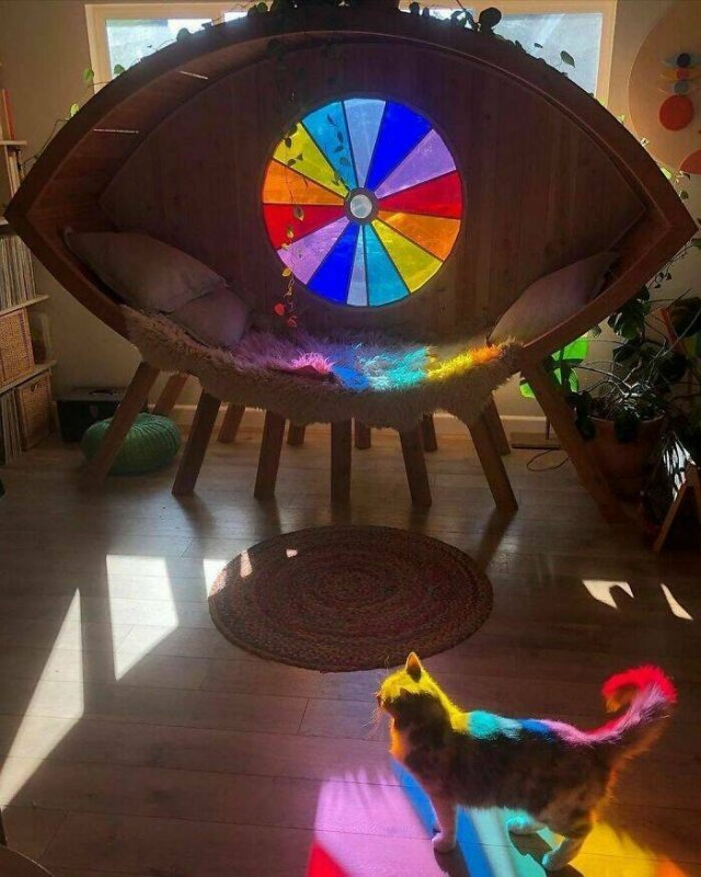 Interesting Designs (50 pics)