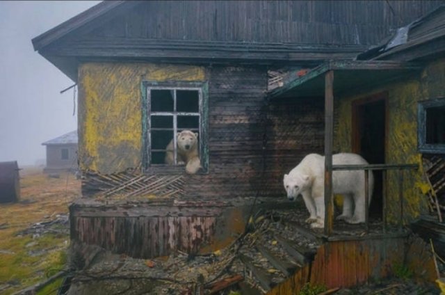 Beautiful Abandoned Places (20 pics) Beautiful Abandoned Places (20 pics)