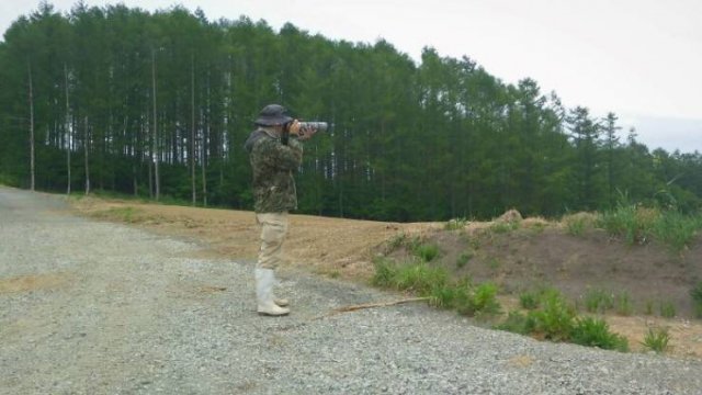Accidental Camouflage (38 pics)