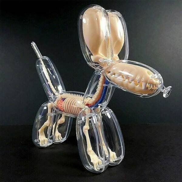 Interesting Designs (50 pics)