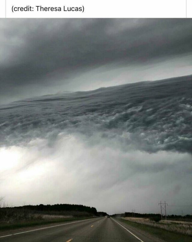 Look Twice (50 pics)