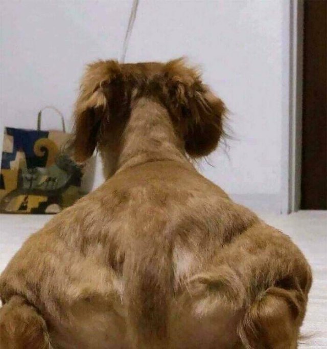 Look Twice (50 pics)