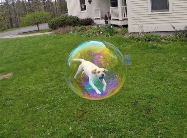 Look Twice (50 pics)