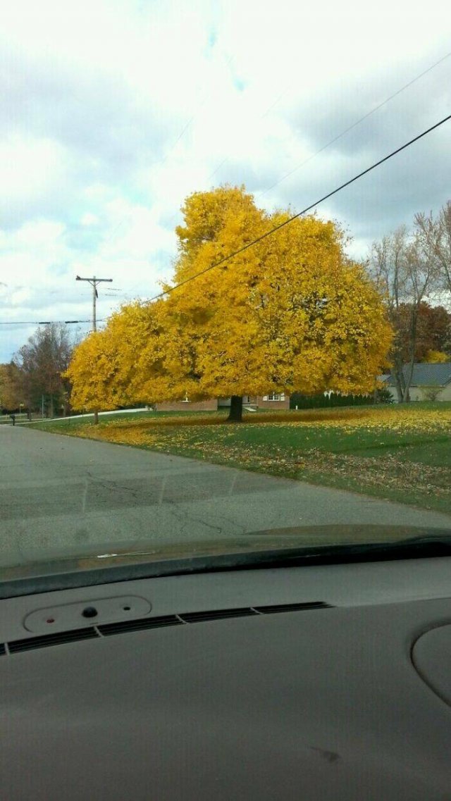 People Against Nature (37 pics)