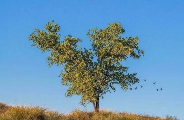 Look Twice (50 pics)