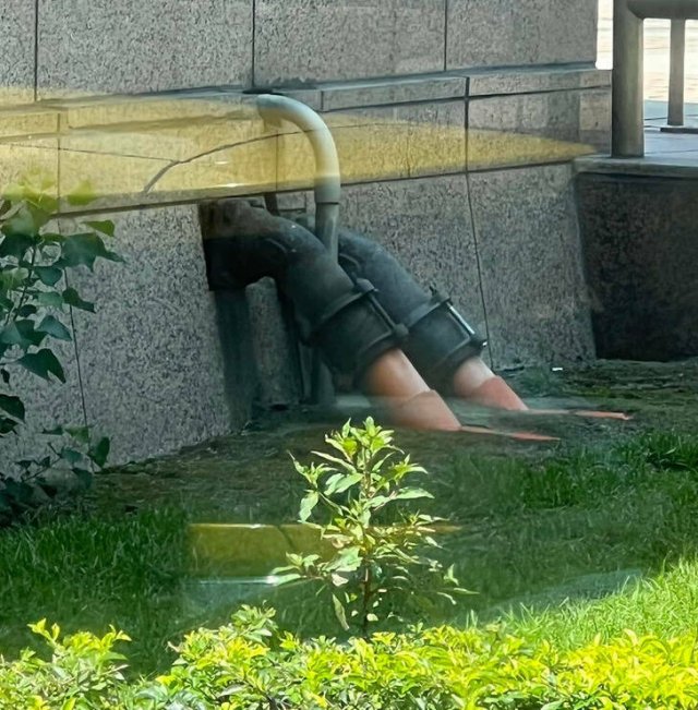 Look Twice (50 pics)