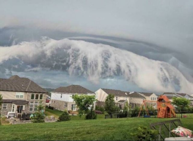 Look Twice (50 pics)