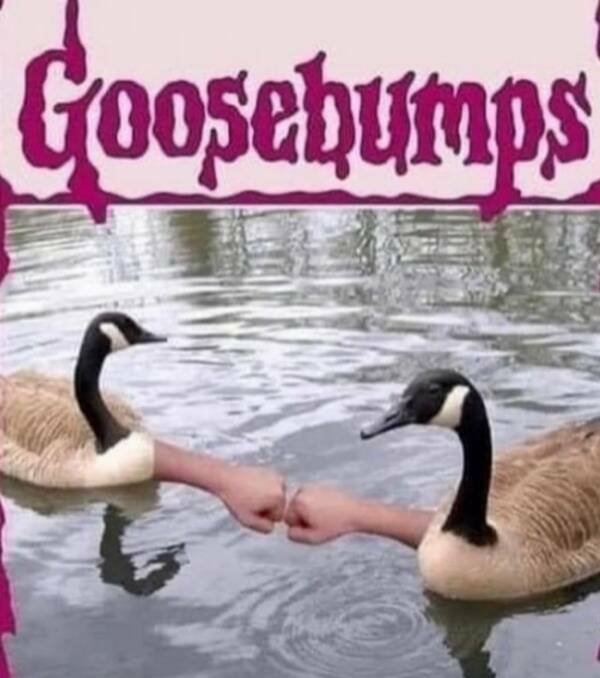Funny Memes (18 pics)