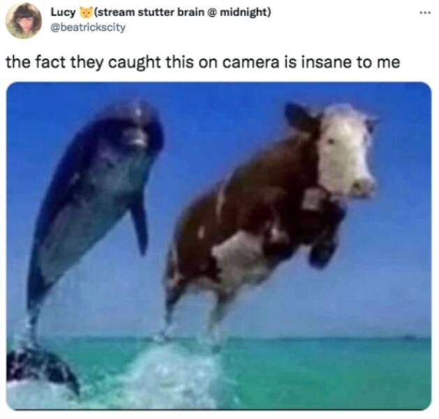 Funny Memes (18 pics)