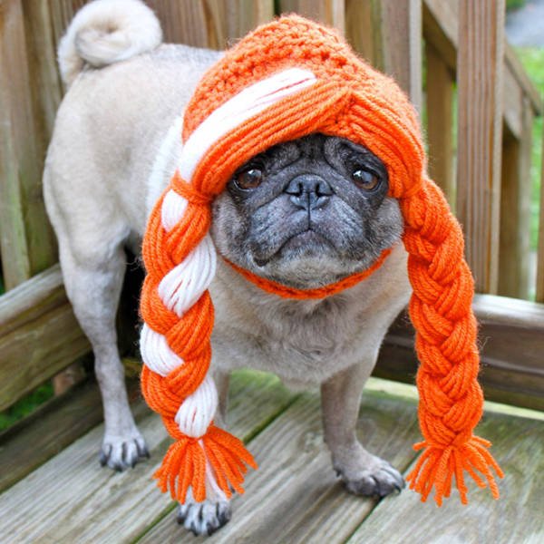 Funny Animals In Crochet Clothes (21 pics)