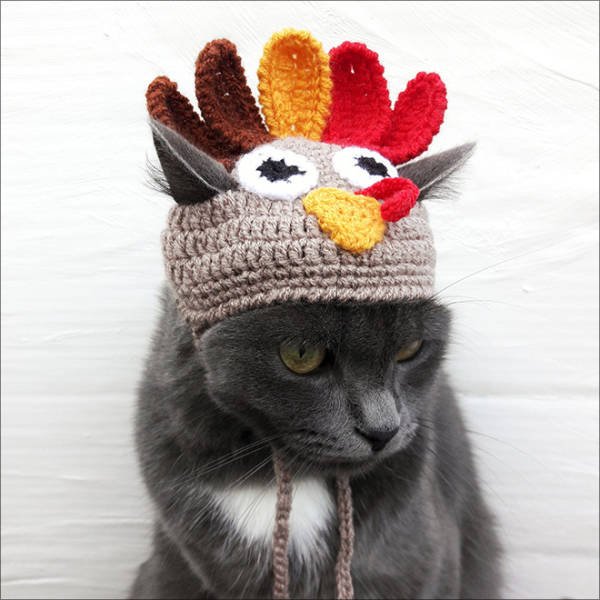 Funny Animals In Crochet Clothes (21 pics)