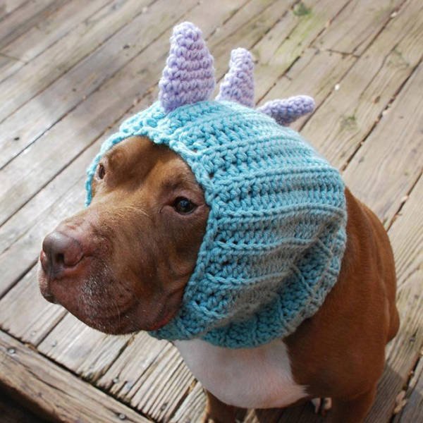 Funny Animals In Crochet Clothes (21 pics)