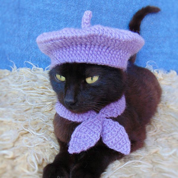 Funny Animals In Crochet Clothes (21 pics)