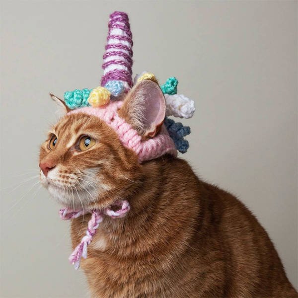 Funny Animals In Crochet Clothes (21 pics)