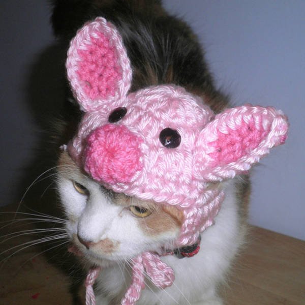 Funny Animals In Crochet Clothes (21 pics)