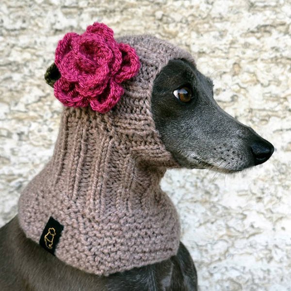 Funny Animals In Crochet Clothes (21 pics)