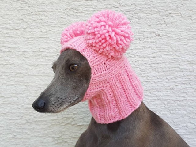 Funny Animals In Crochet Clothes (21 pics)