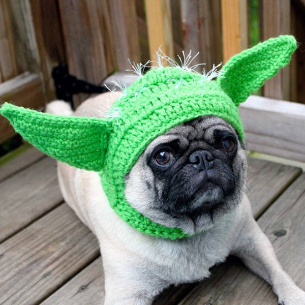 Funny Animals In Crochet Clothes (21 pics)