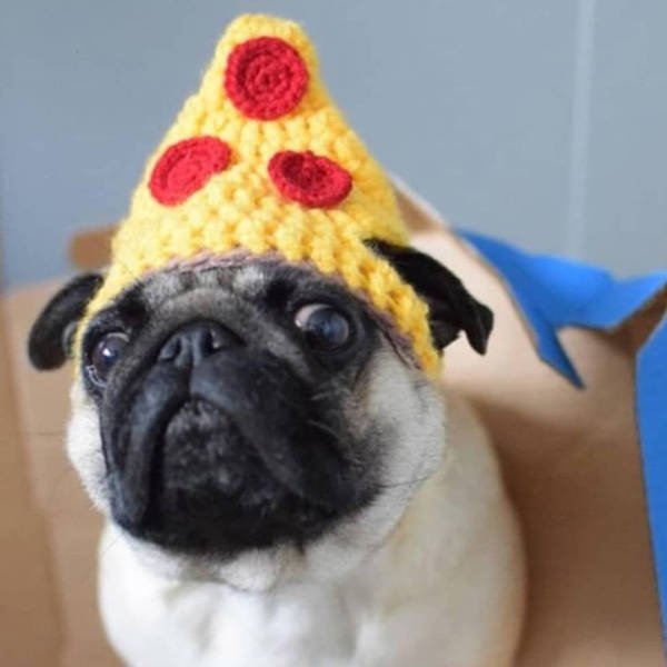 Funny Animals In Crochet Clothes (21 pics)