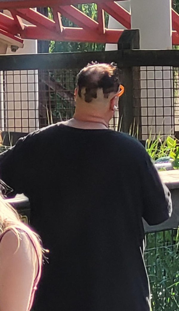 Odd Haircuts (28 pics)