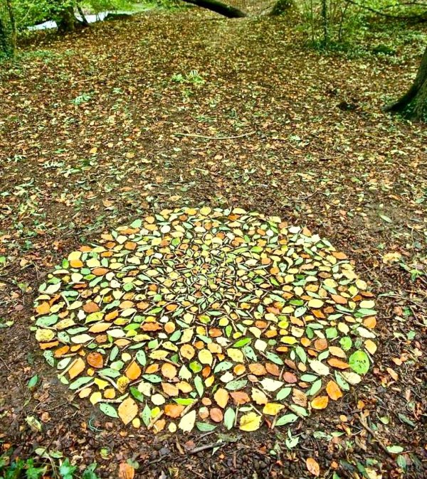 Photos For Perfectionists (24 pics)