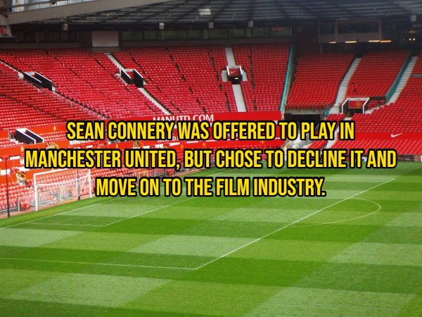 Random Facts (14 pics)