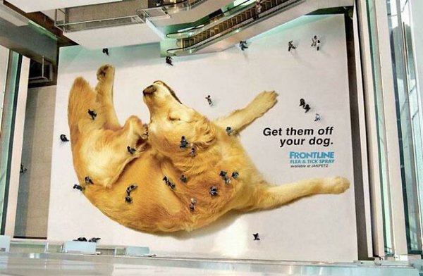 Interesting Designs (32 pics)