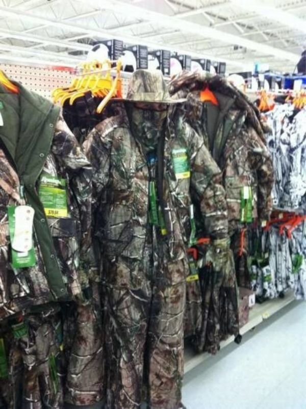 Accidental Camouflage (21 pics)