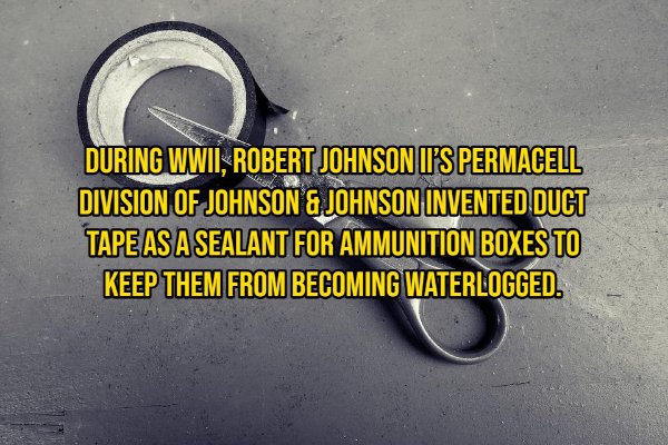 Random Facts (14 pics)