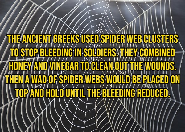 Random Facts (14 pics)