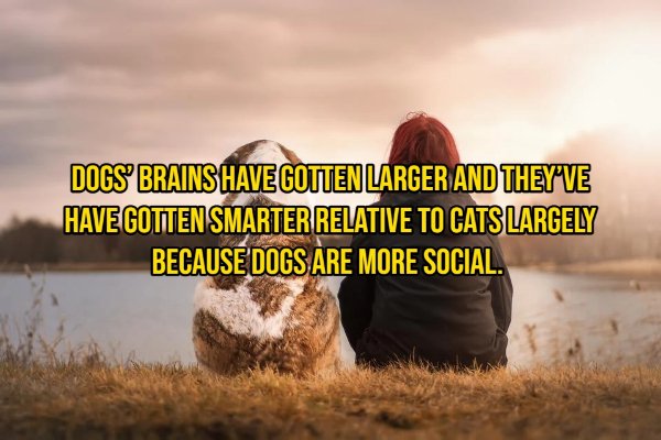 Random Facts (14 pics)